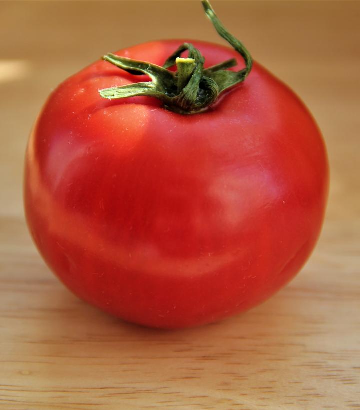 Tomato ''Jetstar'' - Slicer tomato from Prides Corner Farms