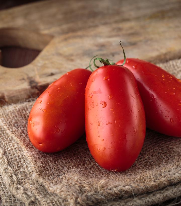 Tomato ''San Marzano'' - San Marzano tomato from Prides Corner Farms