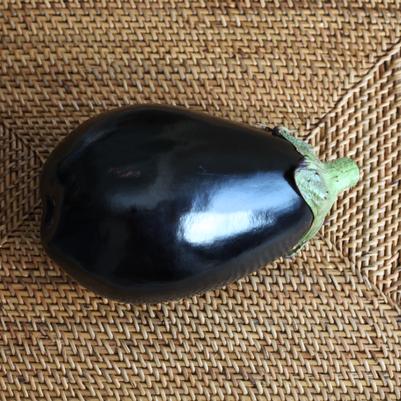 Eggplant 'Black Beauty' 