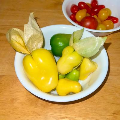 Tomatillo 'Chupon de Malinalco'